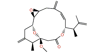 3-O-Methyl amphidinolide P